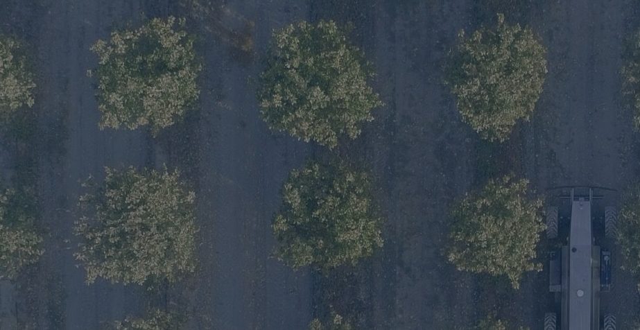 Aerial view of autonomous sprayer in an orchard