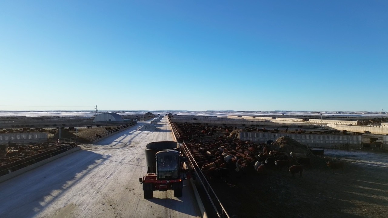 Autonomous Feed Delivery in Production